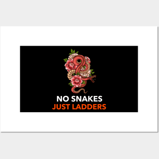 No Snakes Just Ladders Posters and Art